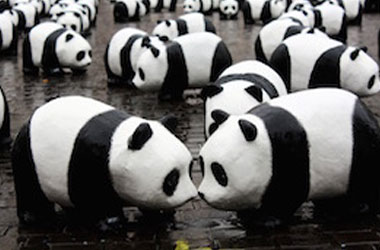 1600熊猫世界之旅－马来西亚！