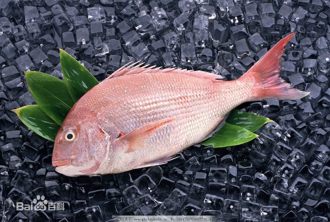 鲷鱼(snapper) 红鲷鱼含有丰富的胶原蛋白,能够帮助缓解肌肤衰老,有