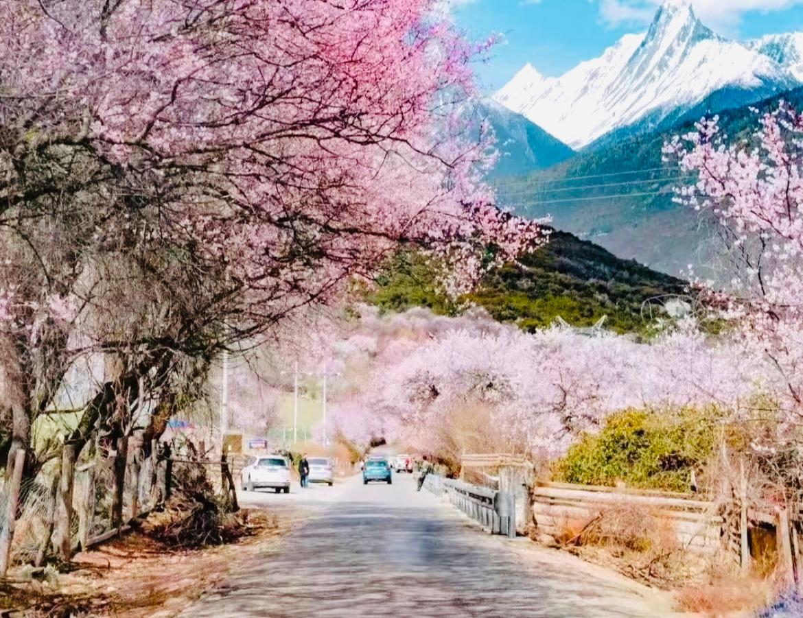 【中国】这8个中国最美春天，一定要和最爱的人去一次！