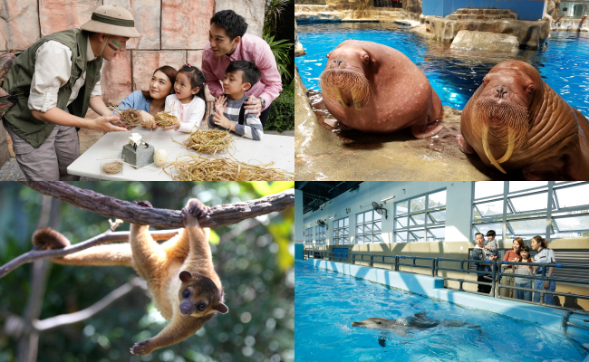 Ocean Park Hong Kong Transforms into a Premier International Resort Destination Offering One-stop Edutainment Experience with New Hotel and City-exclusive Animal Programmes 