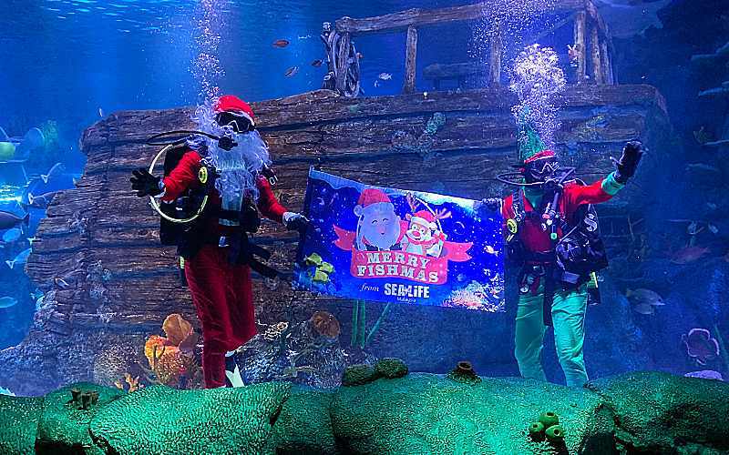 Go on Magical Quests this Holiday Season at LEGOLAND® Malaysia Resort’s Enchanted Forest!