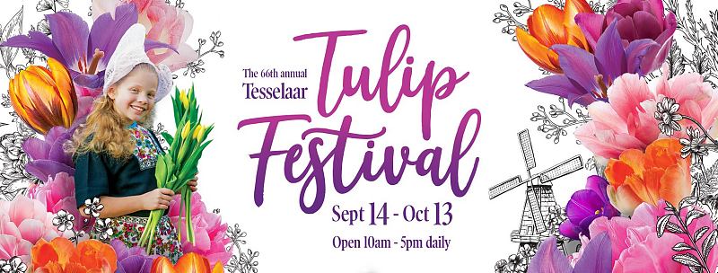 Flower Power! Get Ready For The 66th Tesselaar Tulip Festival! 