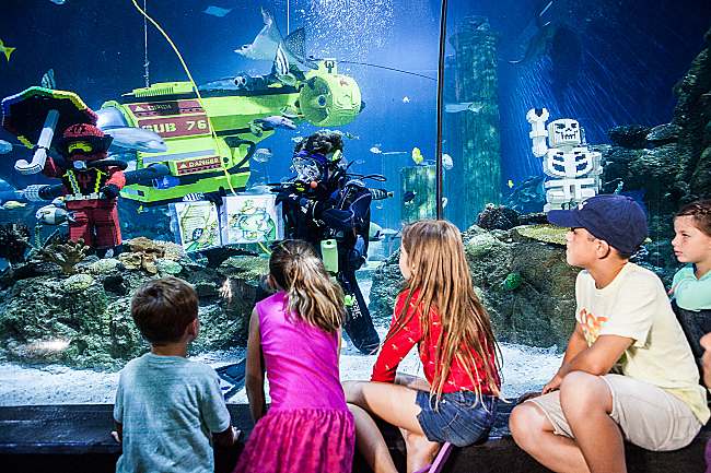 SEA LIFE Malaysia Opens on 9th May 2019