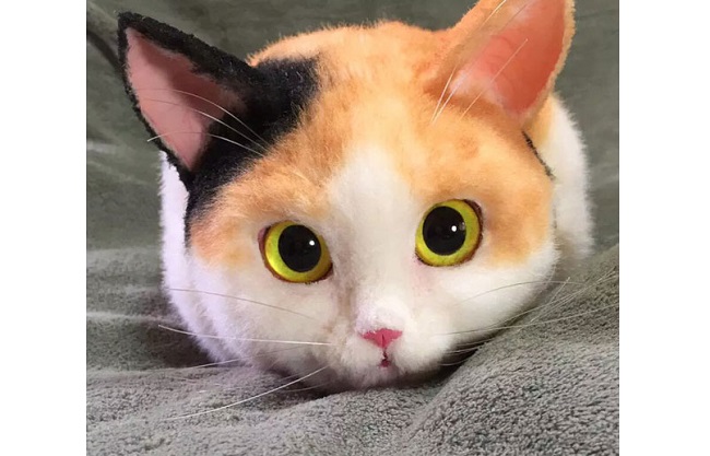 猫控肯定喜欢这个……