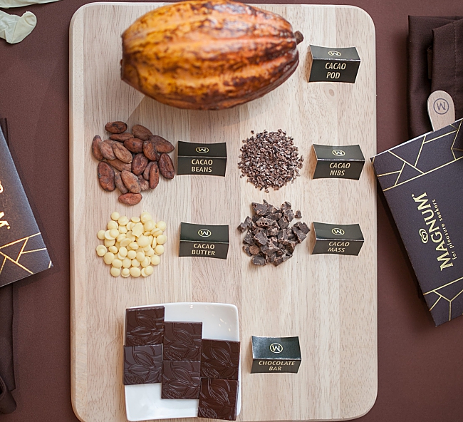 9 Questions About Chocolate With Our Favourite Magnum Ice Cream!