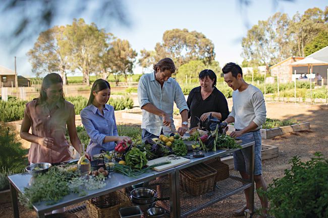 Foodie Trail: 3 Days In Barossa Valley!