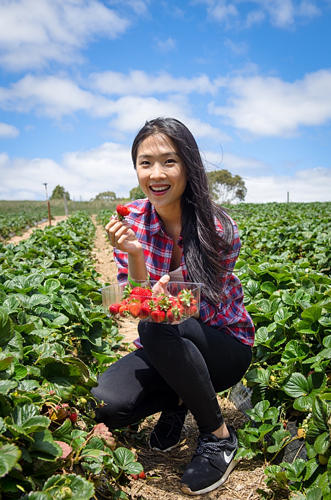 What to do in South Australia 