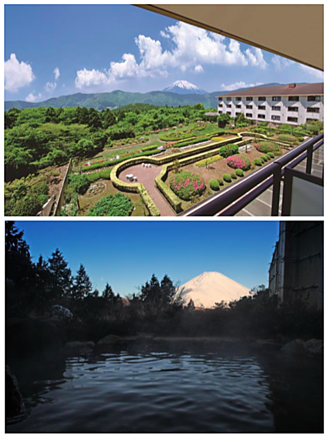 Green Plaza Hakone