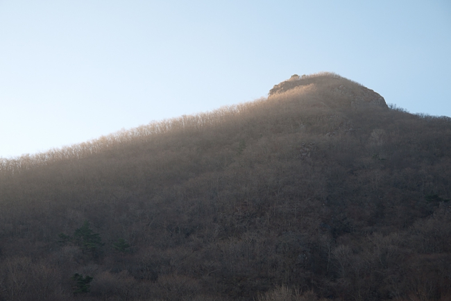 Ulsan Yeongnam Alps Silver Grass Festival