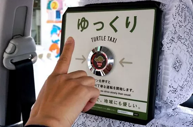Turtle Taxi Japan