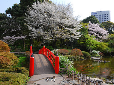 HOTEL NEW OTANI TOKYO'S ATTRACTIONS FOR THE CHERRY BLOSSOM SEASON!