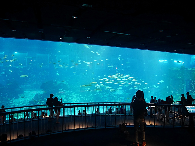 SEA Aquarium Singapore
