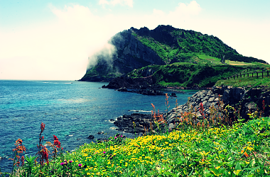 THESE 7 BEAUTIES IS ENOUGH TO MAKE YOU WANT TO VISIT JEJU ISLAND!