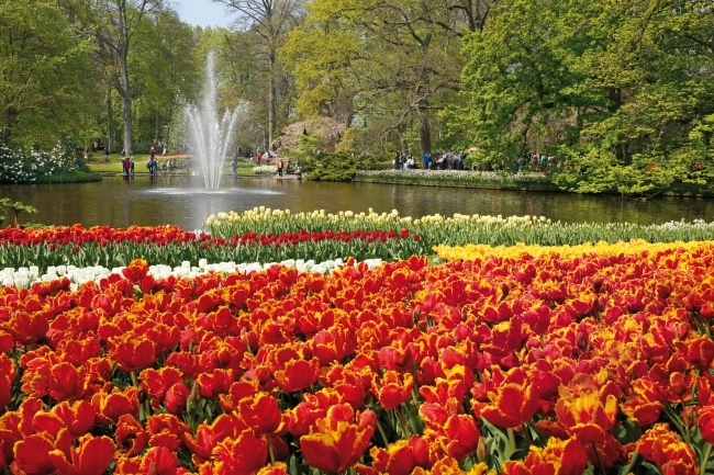 Spring Garden In Holland In 2016!