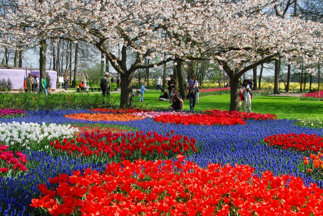Spring Garden In Holland In 2016!
