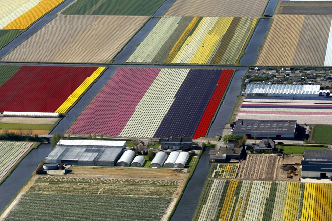 Spring Garden In Holland In 2016!