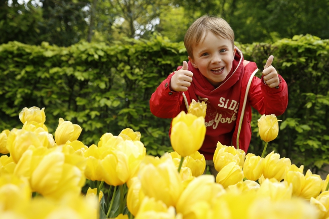 Spring Garden In Holland In 2016!