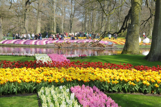 Spring Garden In Holland In 2016!