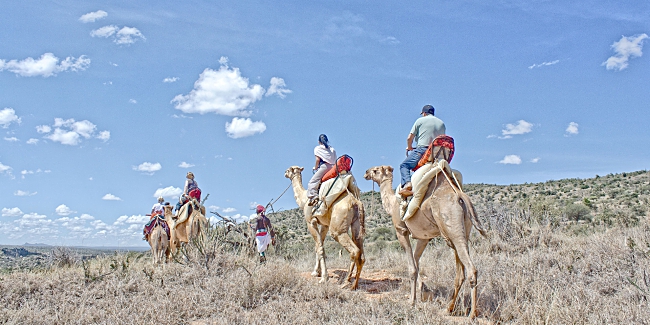 The 9 Kinds Of Safaris To Experience In Kenya