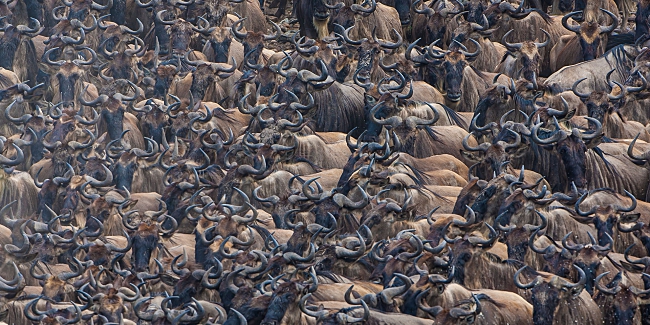 The 9 Kinds Of Safaris To Experience In Kenya
