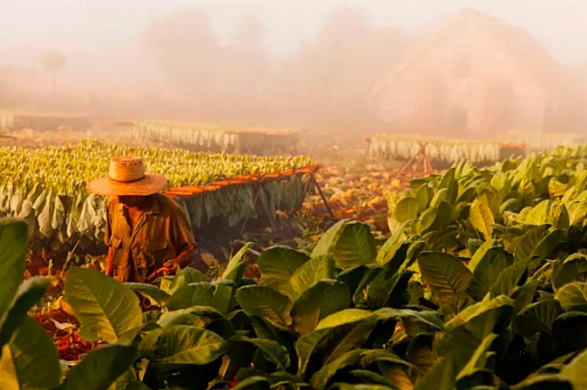 Top 10 Regions To Visit In 2016!