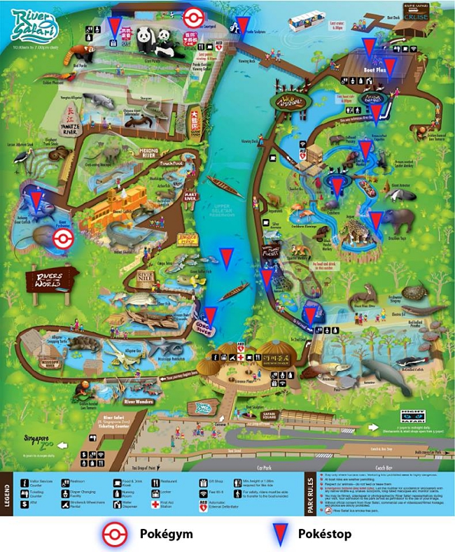 Poke Hunting at Wildlife Reserves Singapore!