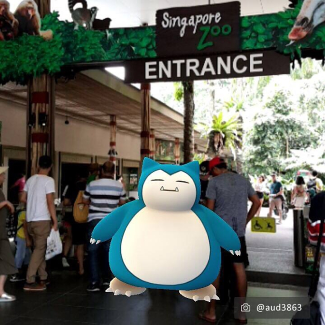 Poke Hunting at Wildlife Reserves Singapore!