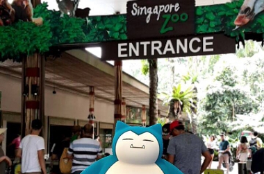 POKE-HUNTING AT WILDLIFE RESERVES SINGAPORE!