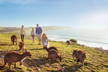 SOUTH AUSTRALIA'S TOP 5 WILDLIFE EXPERIENCES!
