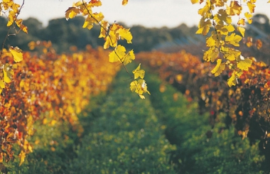 4 MORE FREE THINGS TO DO IN PERTH & SURROUNDS
