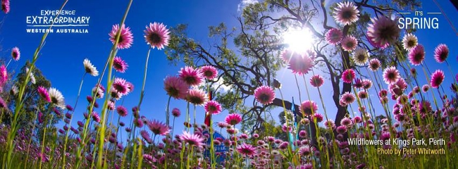 ENJOY RICH PERTH EXPERIENCES THAT DON'T COST YOU THE EARTH