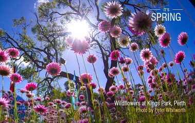 5 FREE THINGS TO DO IN PERTH & SURROUNDS