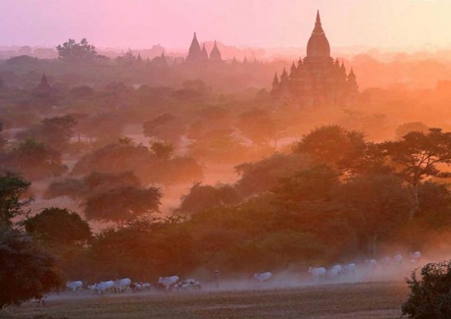 Bagan Ban: Myanmar Stops Tourists Scaling Prized Pagodas