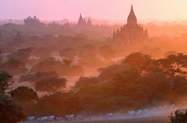 BAGAN BAN: MYANMAR STOPS TOURISTS SCALING PRIZED PAGODAS