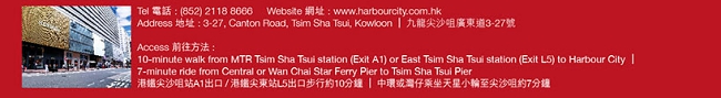 Chinese New Year Fireworks Party At Harbour City Hong Kong!