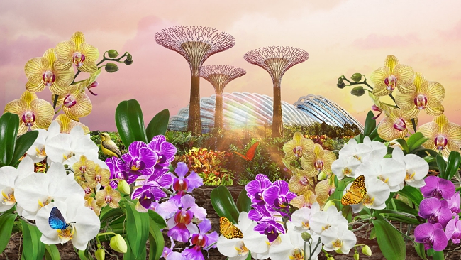 Floral Display