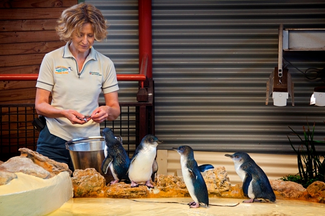 3 Things To Do In Perth In September!