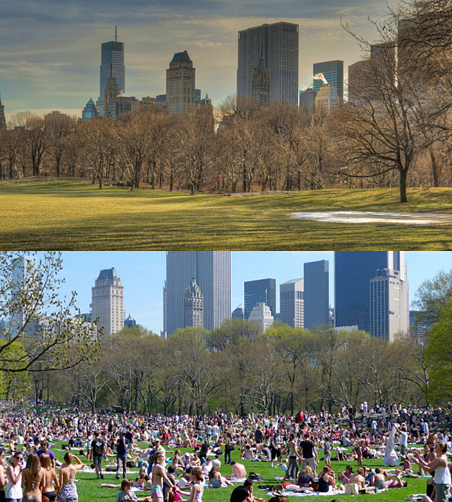 5 More Hilarious Travel Expectations vs. Reality