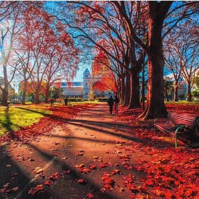 5 More Instagrammable Spots In Melbourne