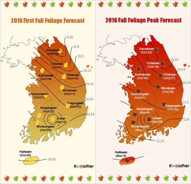 Why Autumn Is The Best Time To Visit Gangwon Province, Korea?