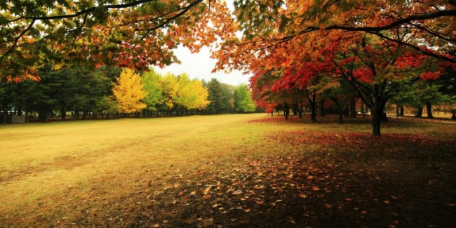 Why Autumn Is The Best Time To Visit Gangwon Province, Korea?