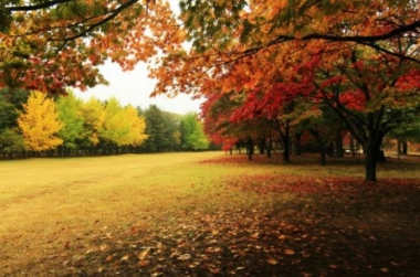 WHY AUTUMN IS THE BEST TIME TO VISIT GANGWON PROVINCE, KOREA?