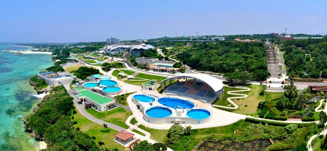 5 Things To Know About Okinawa Churaumi Aquarium In Japan