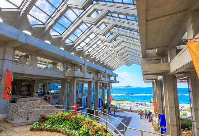 5 Things To Know About Okinawa Churaumi Aquarium In Japan