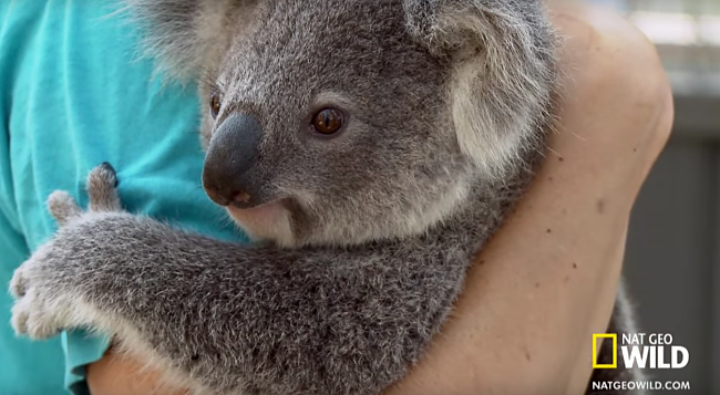 3 Unforgettable Adventures Along Australia’s Pacific Coast!