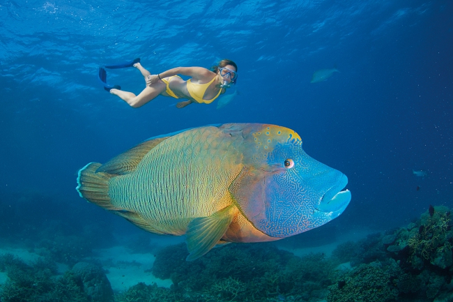 Must-do Aquatic Adventures in Australia