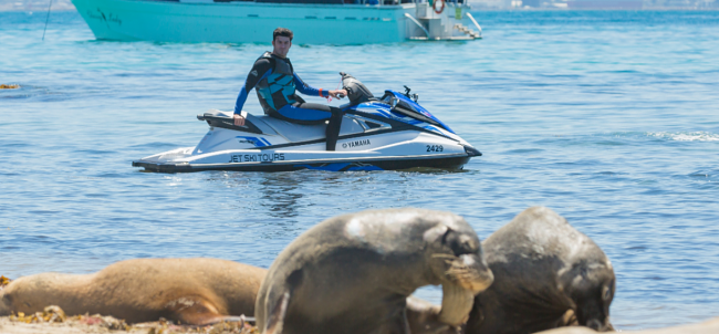 Must-do Aquatic Adventures in Australia