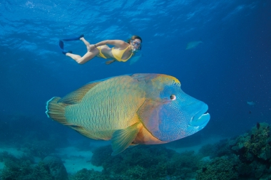 MUST-DO AQUATIC ADVENTURES IN AUSTRALIA