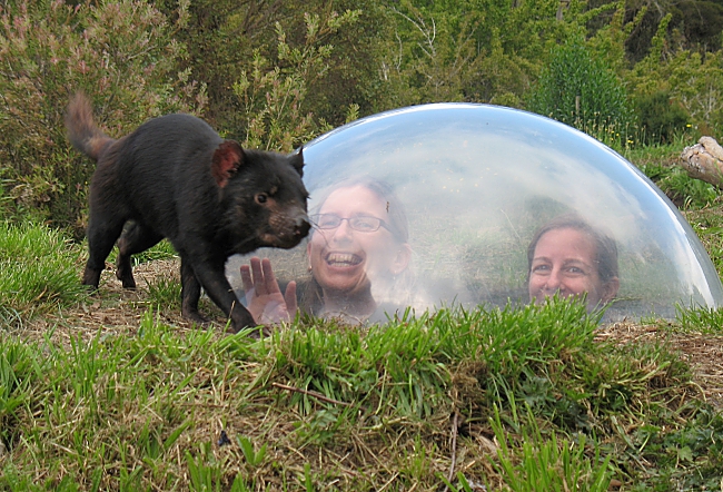 How to Meet Australia's Furry Animal Ambassadors?