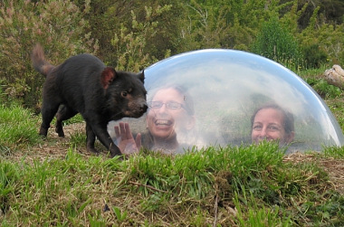 HOW TO MEET AUSTRALIA'S FURRY ANIMAL AMBASSADORS?